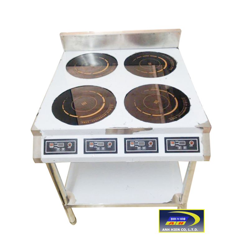 Industrial Induction Cooker 03