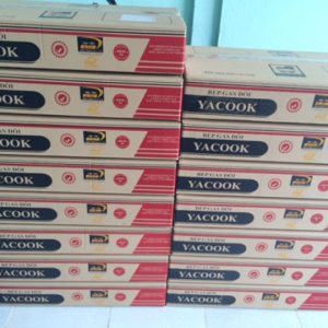 Double gas stove YACOOK